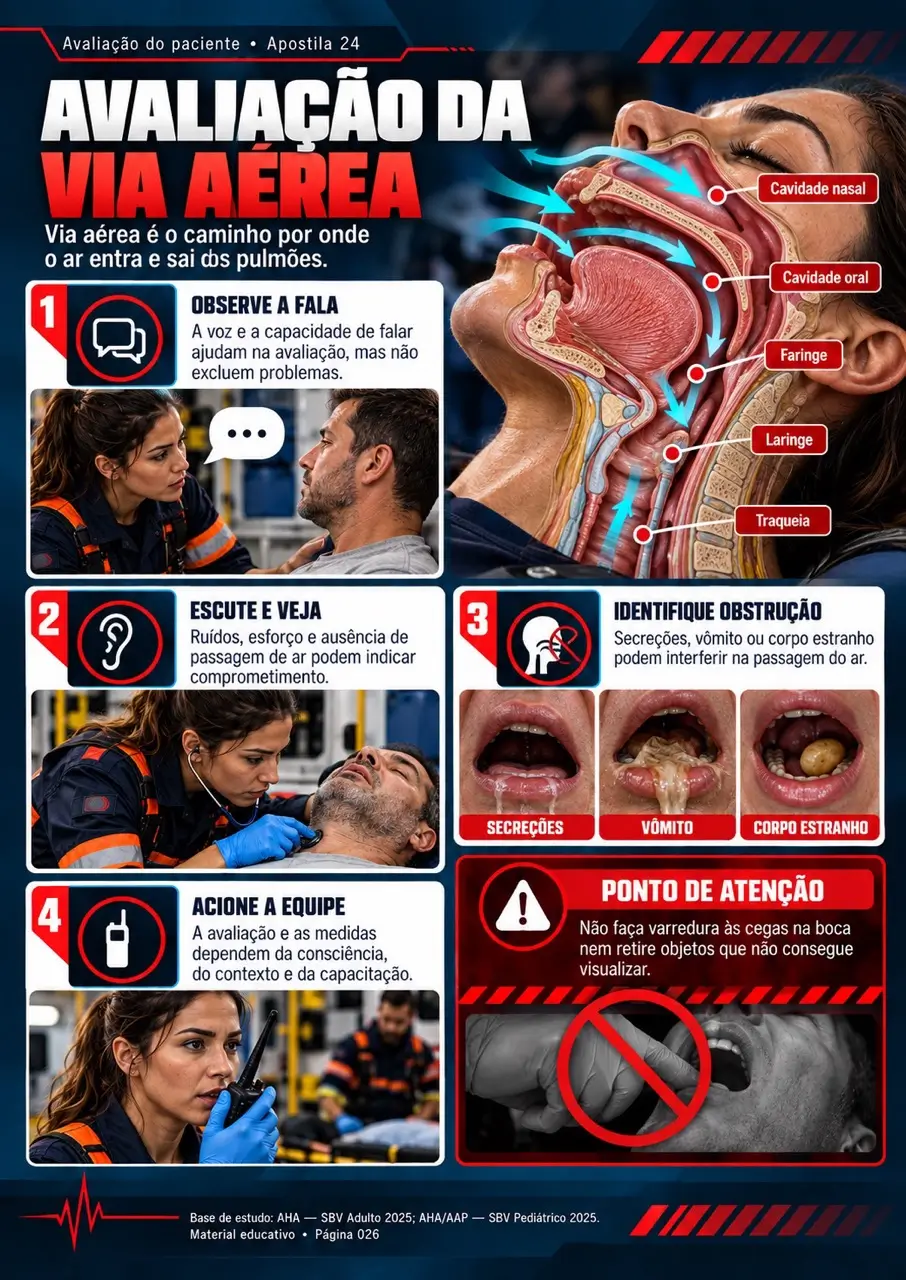 Exemplo de página 3 da coleção